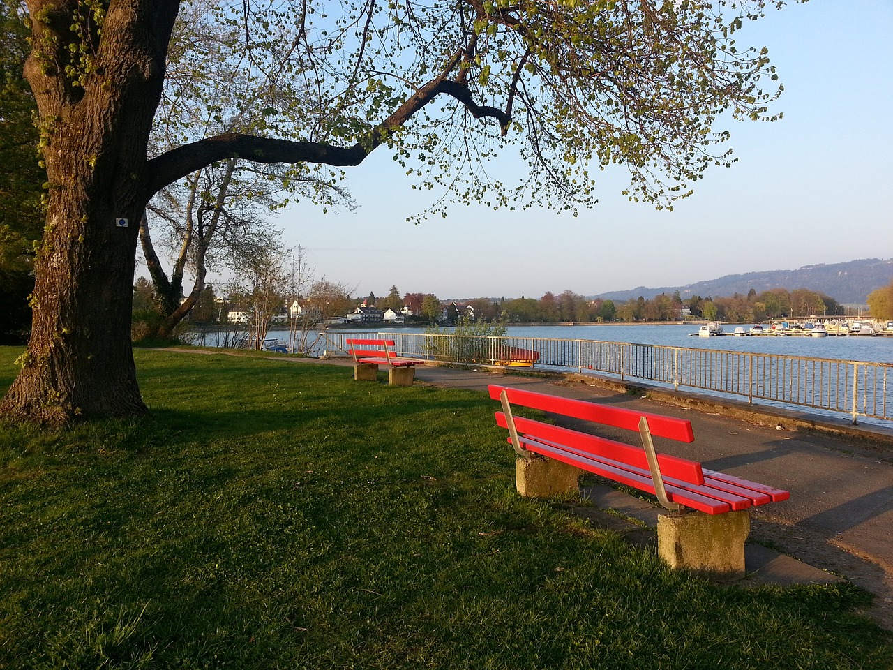 手的动作 手的动作