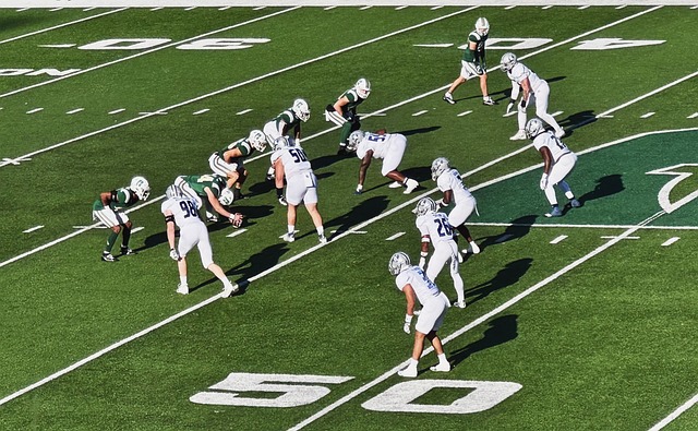 知名运动员 知名运动员