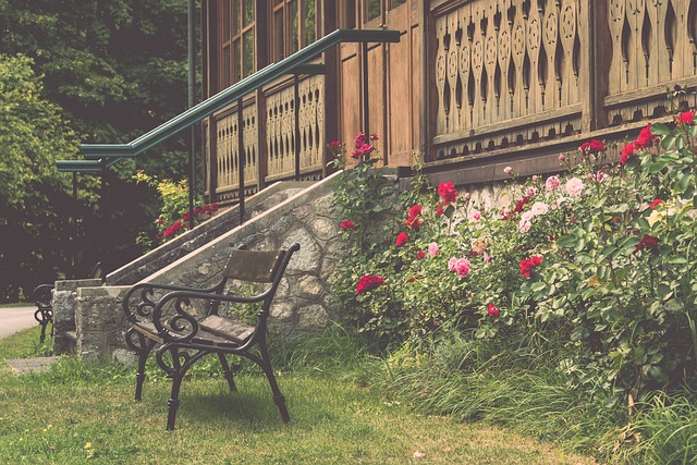 新的新高地 新的新高地