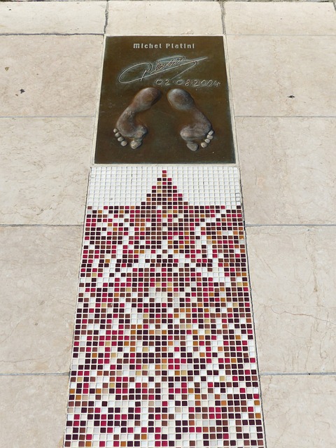 迅速确立领 迅速确立领